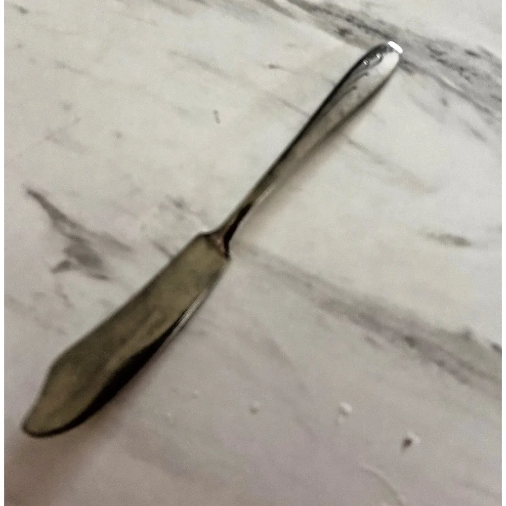 Vintage Butter Knife MCM 1950s By Wallace Stainless 7.25